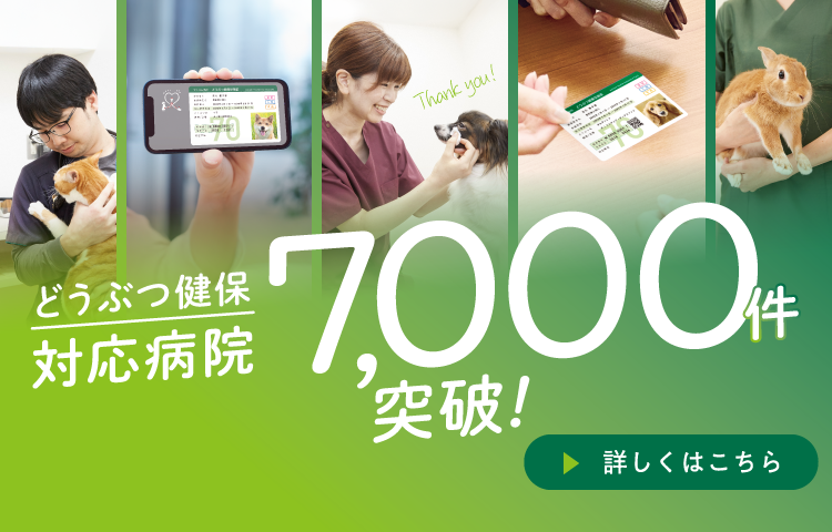 どうぶつ健保 対応病院7,000件突破！